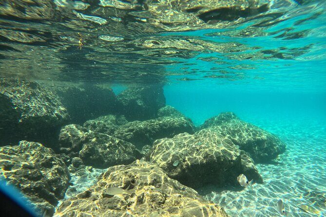 Experience Peanut Island Adventures - The Value for Your Money