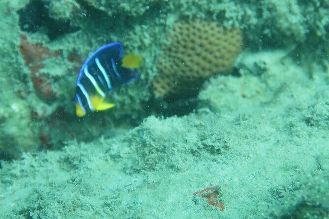 Experience Peanut Island Adventures - Who Will Love This Tour?