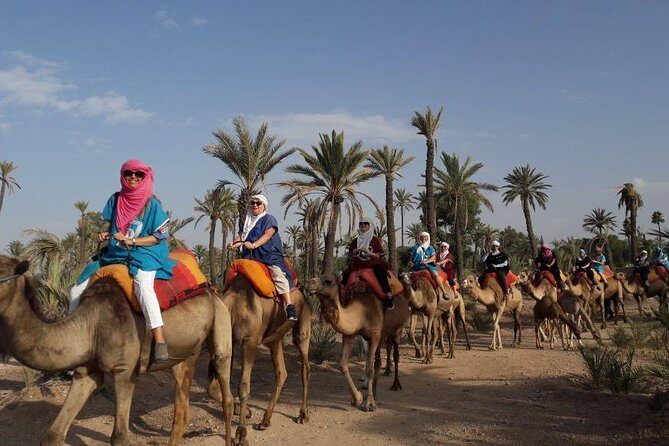 Experience Private Camel Ride - An Authentic Ride through Marrakech’s Countryside