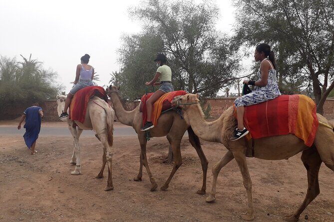 Experience Private Camel Ride - FAQ