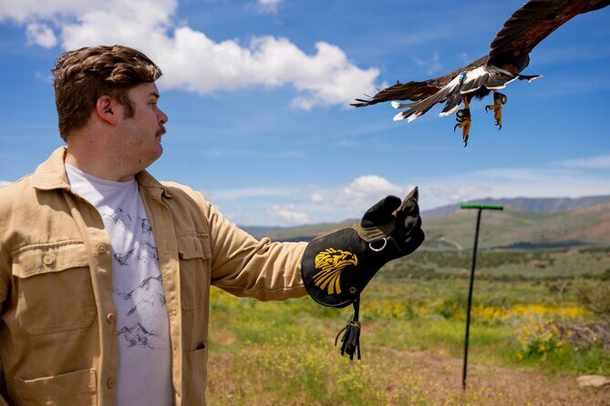 Experience Raptors and Falconry in Reno - Practical Tips for Future Participants