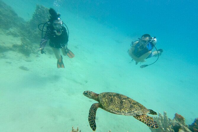 Experience Scuba Diving - No Certification Needed! - Key Points