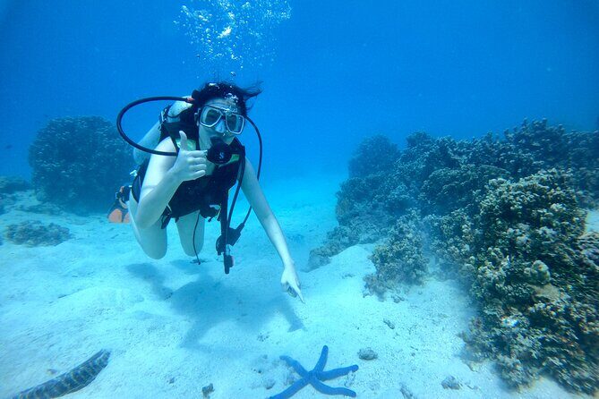 Experience Scuba Diving - No Certification Needed! - Why This Tour Stands Out