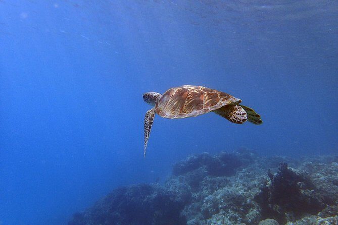 Experience Scuba Diving - No Certification Needed! - A Closer Look at the Itinerary