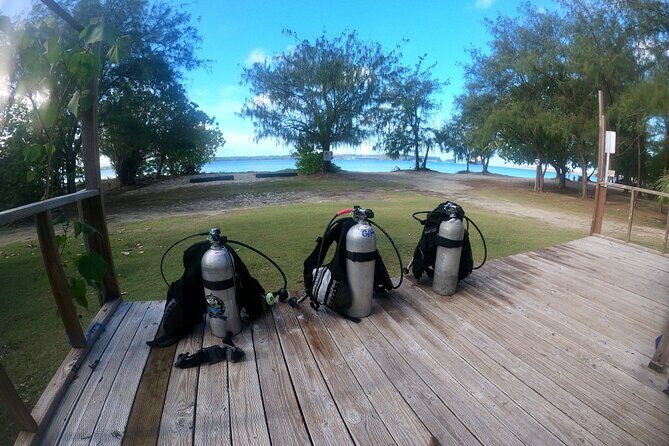 Experience Scuba Diving - No Certification Needed! - The Practical Side: Price, Duration, and Logistics