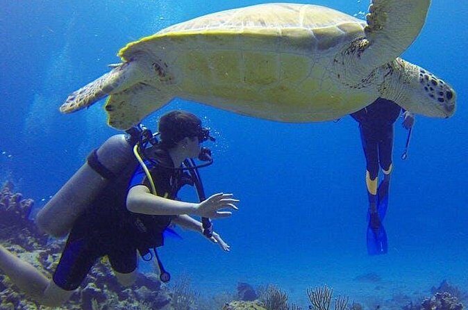Experience Scuba Diving / NO certification Needed - FAQ