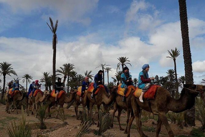 Experience Spa Hammam Massage and Camel tour - Introduction