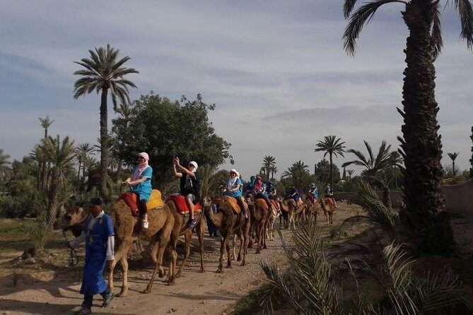 Experience Spa Hammam Massage and Camel tour - FAQs