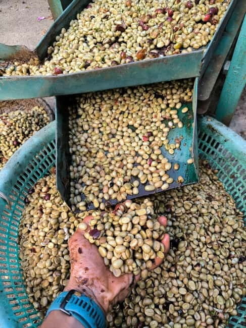 Experience specialty coffee with sustainable coffee farmers - The Experience: What Makes It Special