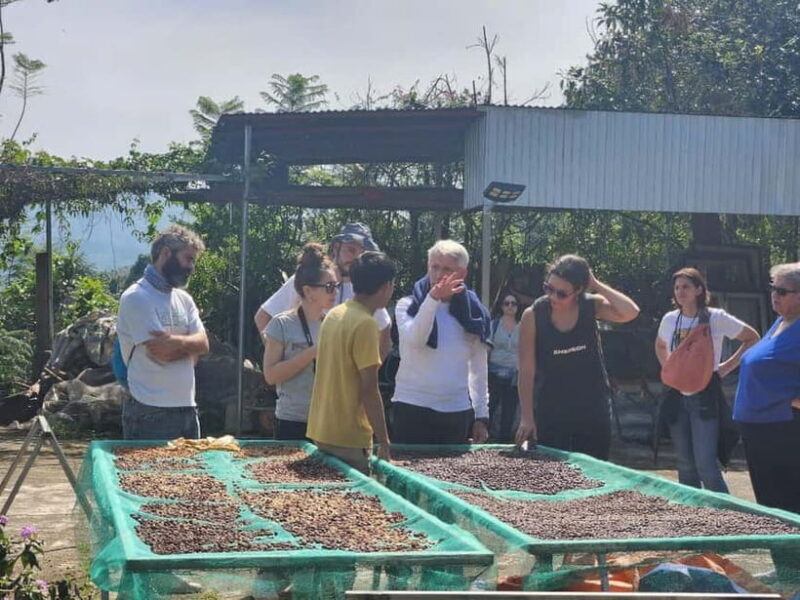 Experience specialty coffee with sustainable coffee farmers - Practical Details and Tips