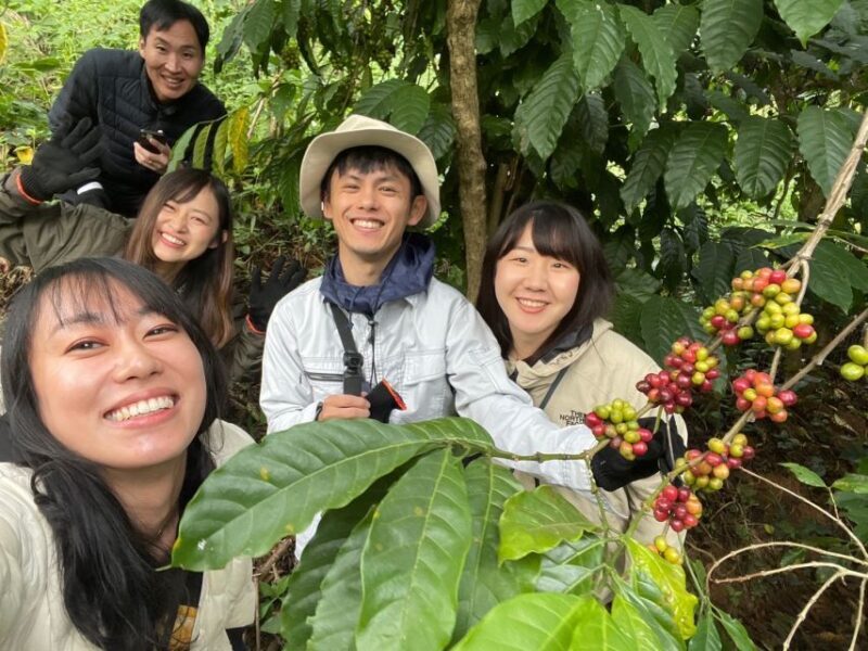 Experience specialty coffee with sustainable coffee farmers - Authentic Experiences and Honest Reviews