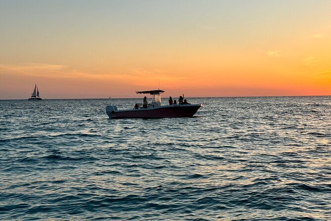 Experience Sunset and Dolphin Adventure in Panama - Introduction: A Sunset and Dolphin Adventure You Won’t Forget