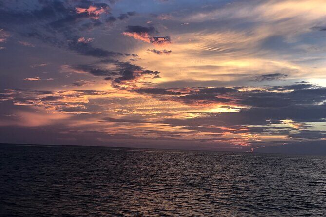 Experience Sunset and Dolphin Adventure in Panama - The Sum Up: Is This Tour Worth It?