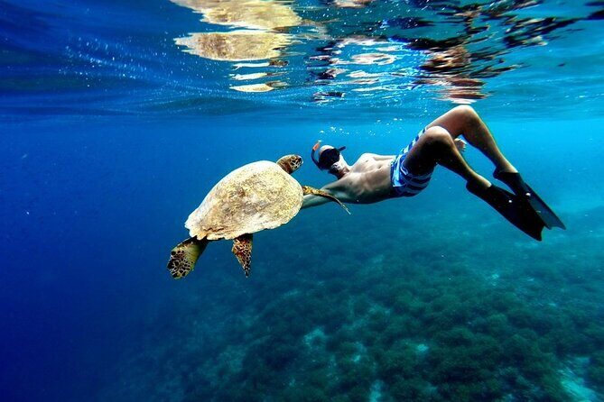 EXPERIENCE SWIMMING with the TURTLES and Discover the amazing Tulum Ruins tours. - An Overview of the Tour Experience