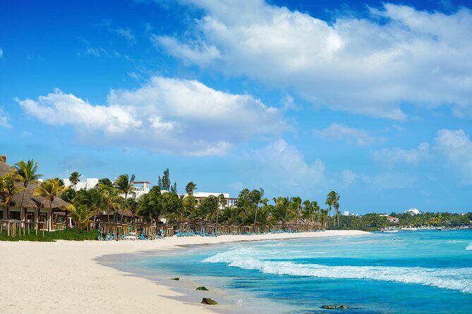 Experience swimming with turtles and explore the ruins of Tulum. Lunch included. - Final Thoughts: Is It Worth It?