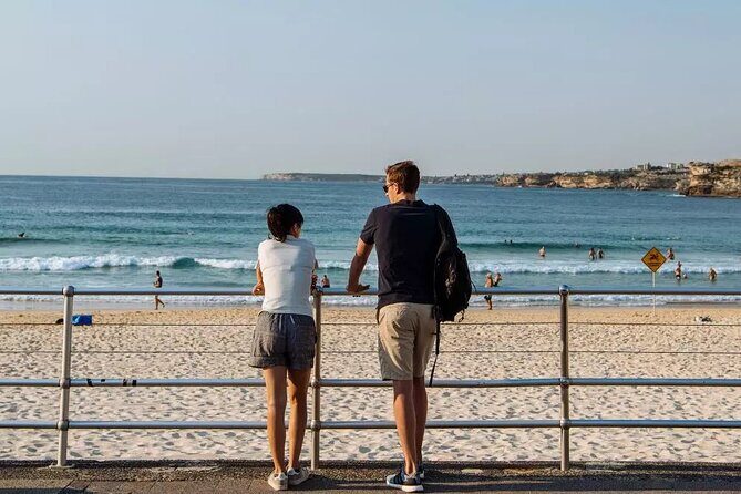 Experience Sydney's Best Beaches - The Detailed Breakdown of the Tour