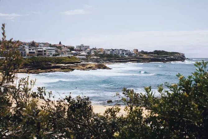 Experience Sydney's Best Beaches - The Sum Up: Is This Tour Worth It?