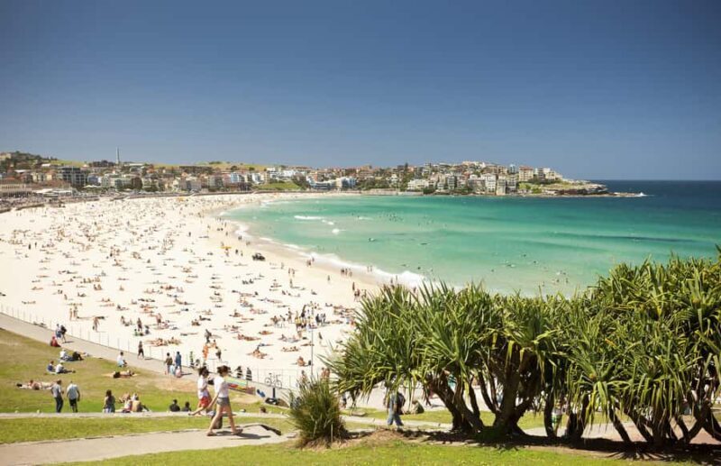 Experience Sydney's Best Beaches: Private Tour - The Guide and Transportation