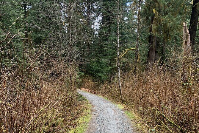 Experience the Beauty of Vancouvers Forests by Bike/E-Bike - Authentic Feedback from Participants