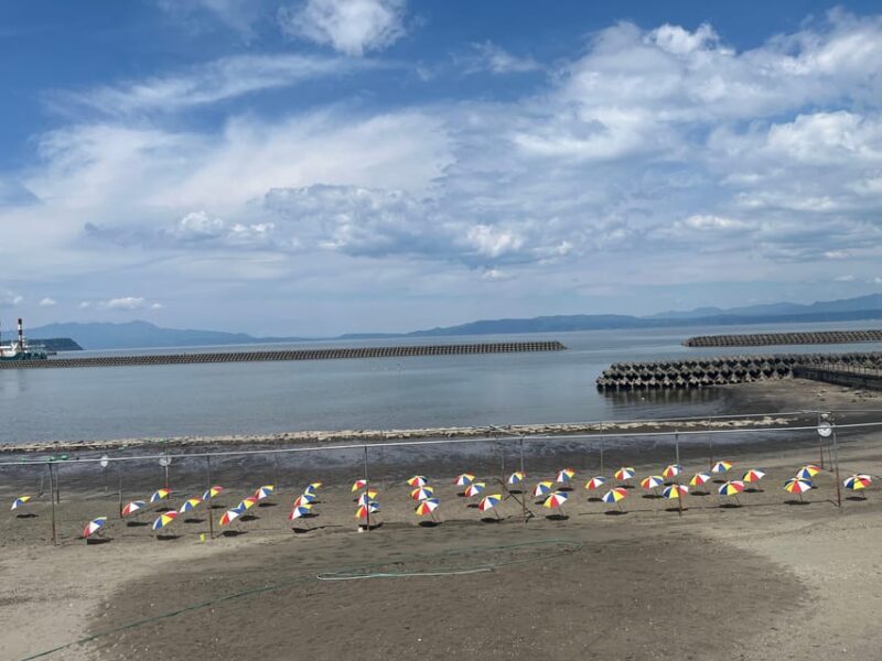 Experience the blessings of volcanoes in Kagoshima, Kyushu - An In-Depth Look at the Tour