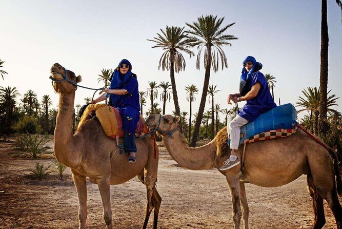 Experience the desert nomads in Marrakech! - What Travelers Say: Authenticity and Value