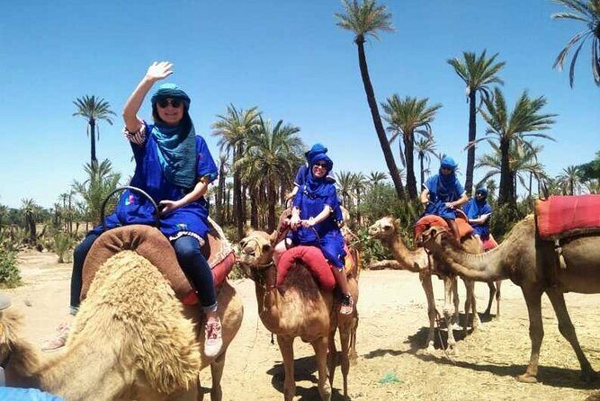 Experience the desert nomads in Marrakech! - Who Should Consider This Tour?