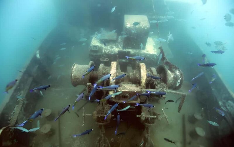 Experience the Exciting Caribbean Underwater World - Pricing & Value