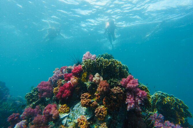 Experience the Koh Lipe Frontier in the Eastern Adang Archipelago - Analyzing the Value