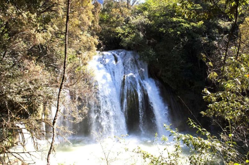 Experience the Magic of Chiapas: 3-Day Tour - Practical Considerations and Value