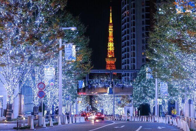 Experience the Magic of Christmas in Tokyo - What to Expect from the Tour