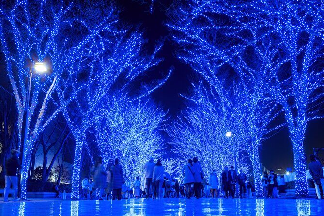 Experience the Magic of Christmas in Tokyo - Frequently Asked Questions