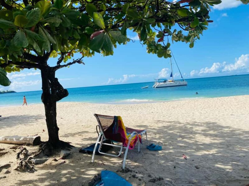 Experience the natural beauty and culture half day tour - Exploring Grenada’s Natural Wonders: What to Expect