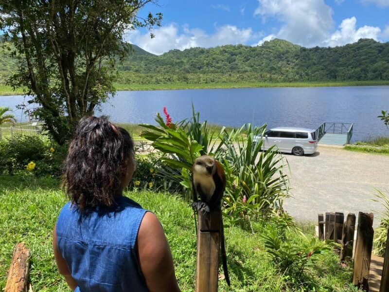 Experience the natural beauty and culture half day tour - The Role of the Guides: Knowledge and Enthusiasm
