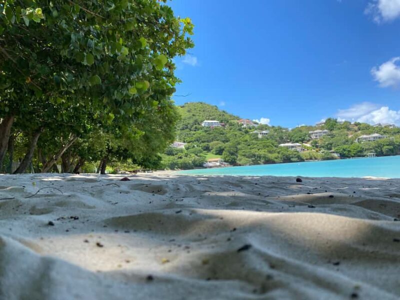 Experience the natural beauty and culture half day tour - Pricing and Value
