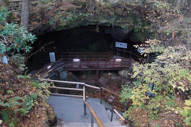Experience the Stunning Nature of Mt.Fuji - Private Tour - FAQ