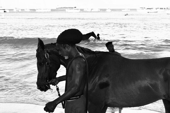 Experience the Swimming Horses at Carlisle Bay & the Garrison - Why This Tour Is Worth Your Time