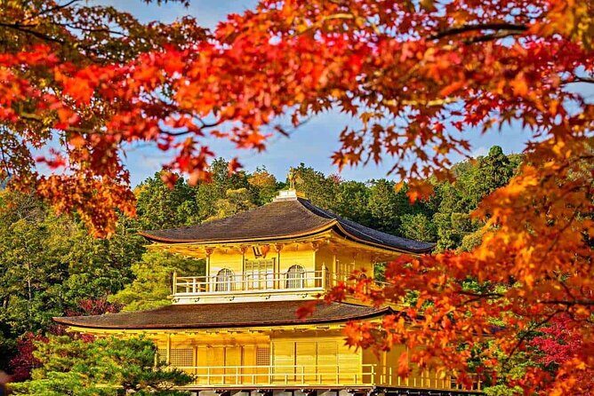 Experience the Wonders of Japan in One Day - Nara Park: Deer and Serenity