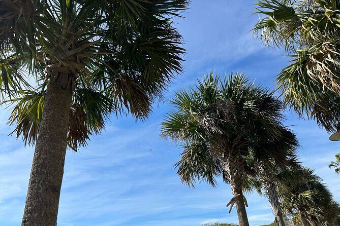 Experience Wild Florida Nature Up Close on Electric Trike (2 hrs) - Exploring the Itinerary in Depth