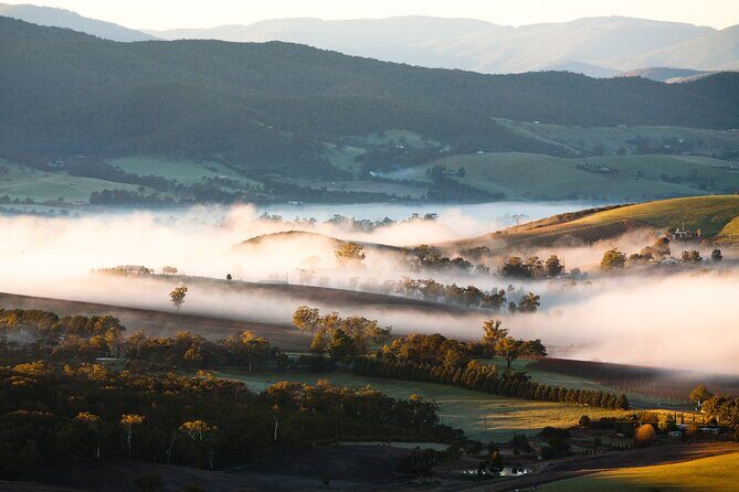 Experience Yarra Valley: A Tailored private Wine Journey - Who Will Love This Tour?