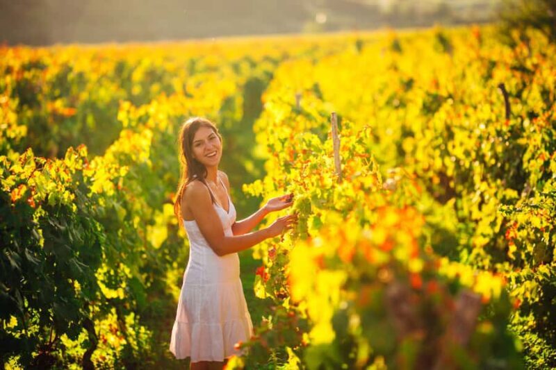 Experience Yarra Valley: A Tailored private Wine Journey - Who Should Consider This Tour