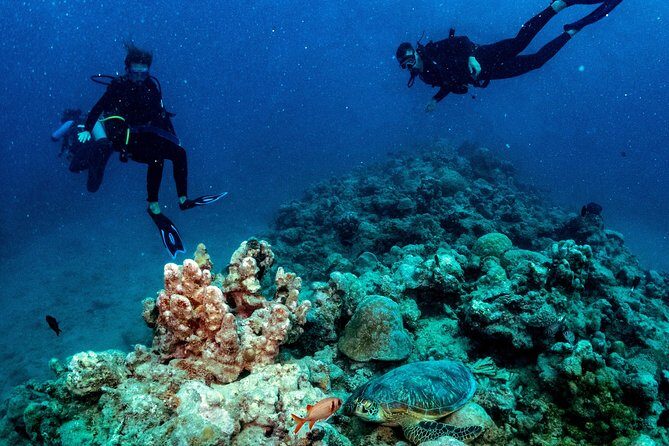 Exploration dives for experienced divers - An Overview of the Tour in Mauritius