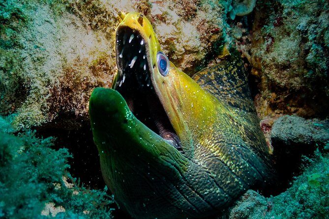 Exploration dives for experienced divers - Frequently Asked Questions