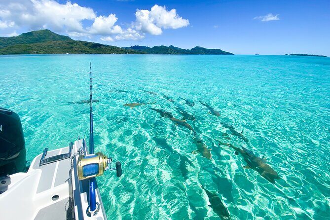 Exploration, Taha'a Lagoon Tour by Private Boat - Key Points: