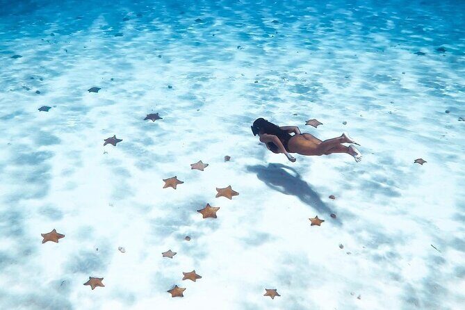 Exploration to El Cielo and Reefs: Live up close with stars - Practical Details: How the Tour Works