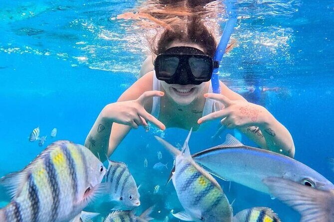 Exploration to El Cielo and Reefs: Live up close with stars - The Sum Up: A Friendly, Authentic Cozumel Marine Experience