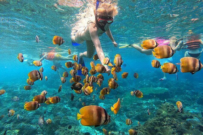 Explore 4 iconic snorkeling spots of Manta Bay in Nusa Penida - Key Points