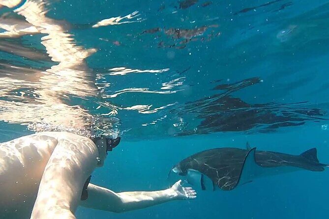 Explore 4 iconic snorkeling spots of Manta Bay in Nusa Penida - FAQ