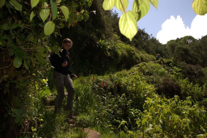 Explore Aberdare:See Big 5, Waterfalls & Camping in the wild - Key Points