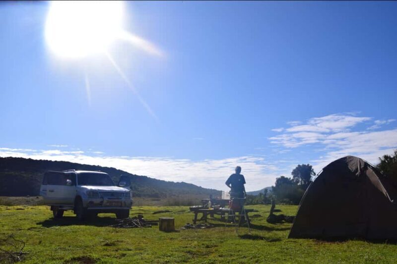 Explore Aberdare:See Big 5, Waterfalls & Camping in the wild - The Sum Up