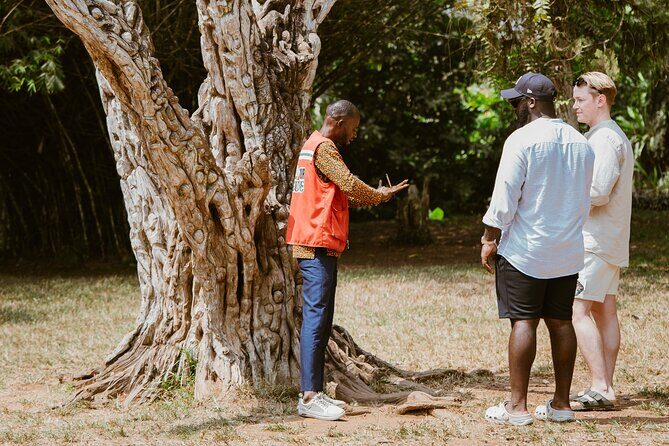 Explore Aburi Botanical Gardens And Boti Falls - A Deep Dive into the Experience